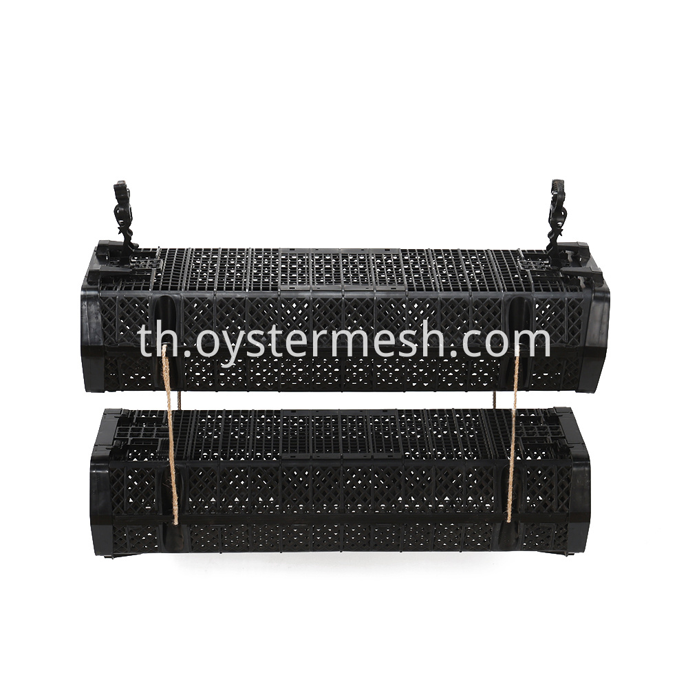 2 Layers Oyster Cage